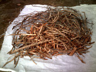 Dandelion Root