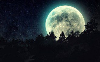 Full Moon in Leo – The Light and the Darkness 1