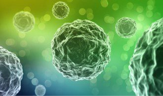 Who’s Living Whom - Bacterial Cells vs. Human Cells in the Body