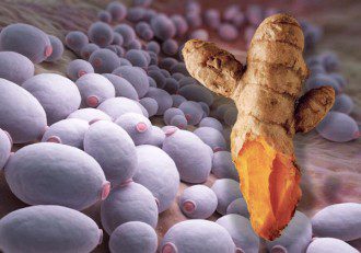 Yeast is a Cause of Cancer and Turmeric Can Kill Both