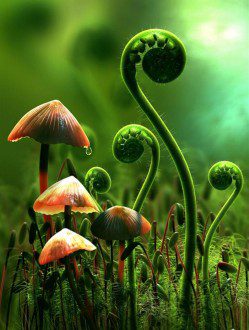 15 Plants That Teach Us Sacred Geometry At Its Finest