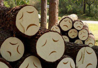 Synthetic Forests - The Enormous Risks of GE Trees