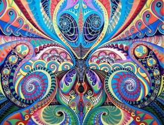 The Future of DMT Research