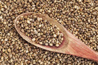 The Health Benefits of Hemp Seed ... PLUS 3 Delicious Hemp Milk Recipes!
