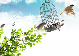 The Revolution of Freedom is Taking Place in Your Mind
