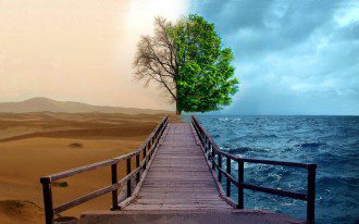 Are You a Bridge Between Worlds - fb