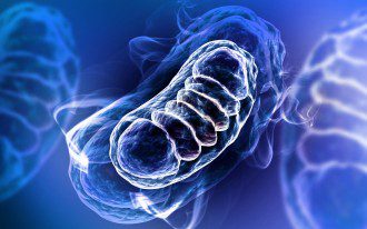 Genetic Mutations Don’t Cause Cancer - Here’s What Does