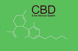 How-CBD-Benefits-the-Human-Nervous-System
