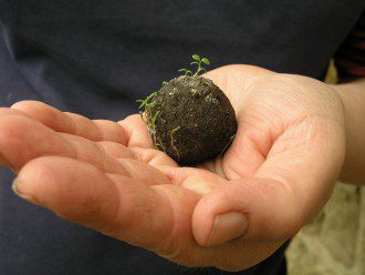 Seed Bombs - A Creative (and Fun) Mission to Save the Bees and Butterflies