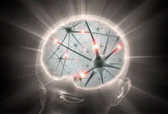 4 Powerful Ancient Herbs For Boosting Your Brain Power and Rebuilding Neuronal Connections