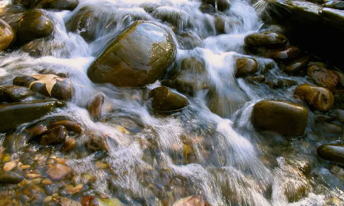 Be Like Water The Need for Adaptive Fluidity - Moving