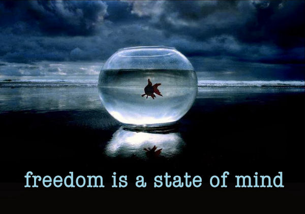 Don't Ask for Freedom Live It