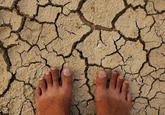 Genetically Modified Crops - The Trouble Is in the Soil