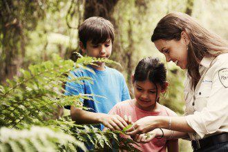 Why Education Must Come Back to Nature 3
