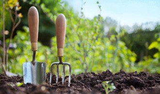 How a “No-Till” Method Can Grow Vegetable and Fruit Gardens Without Irrigation, Fertilizer or Grueling Labor 1