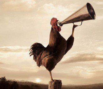 How to Wake People Up Without Being an Asshole