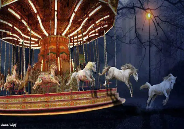 Information Carousel to Nowheresville