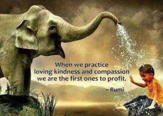 Love Rebels, Unite - Empathy