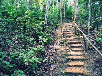 Shadow Work and Healing - Reflections from the Peruvian Jungle