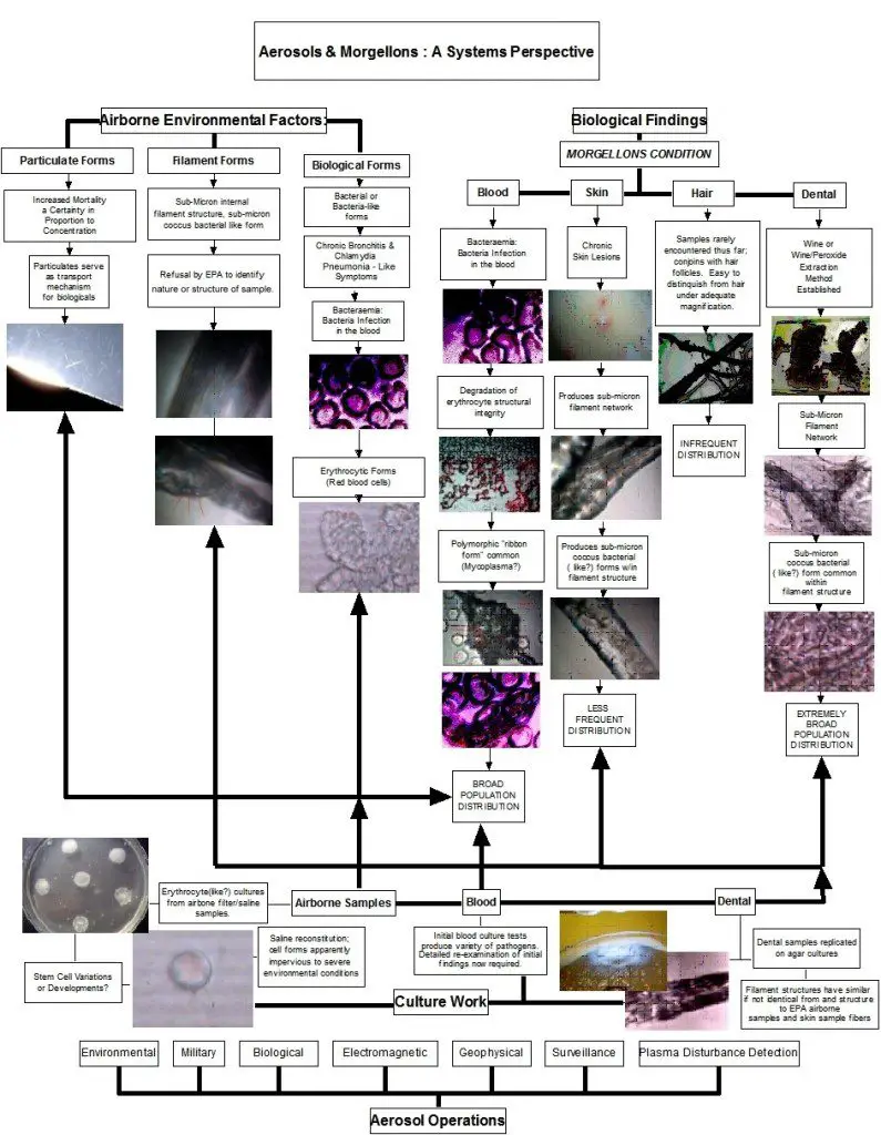 Synthetic Agenda - Aerosols_Morgellons_System_Perspective_Carnicom