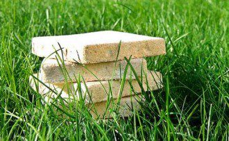 Will Mushroom-Based Materials Replace Plastic With an Eco-Friendly Twist