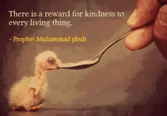 10 Ways to Raise Our Vibration - Kindness