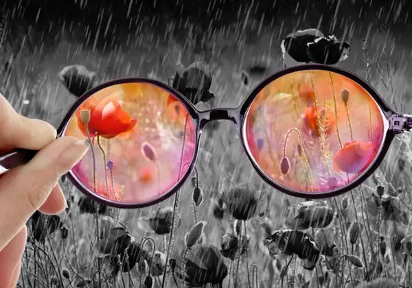 Change the Lens Through Which You View the World