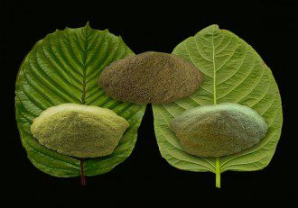Kratom - The Top-Notch Holistic Substance You've Likely Never Heard Of