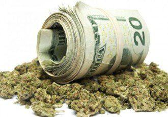 What's Really Going On Under the Hood of the Marijuana Movement Big Marijuana GMOs and Hemp