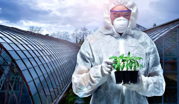 Setting the Record Straight on GMO Myths and Truths - FB