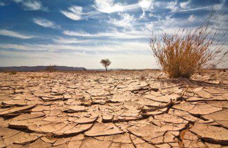 Setting the Record Straight on GMO Myths and Truths - soil