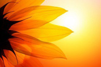 What I Learned From Having a Chronic Disease