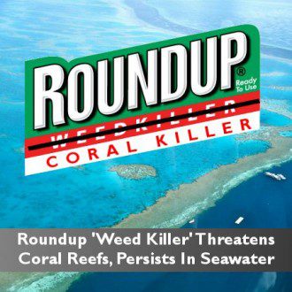 coral_reef_roundup_monsanto