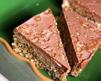 Chocolate Covered Coconut Bliss Bars (vegan, gluten-free, no-bake)