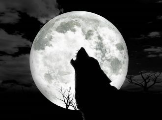 Full Moon and Lunar Eclipse in Aquarius - Your True Uncensored Self 1