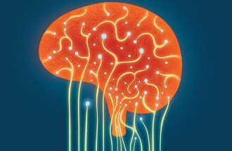 Scientists Discover Gut Bacteria That Eat Brain Chemicals