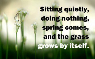 The Lily of the Field - Transformation Through Natural Intelligence