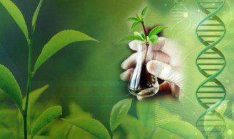 The Price We Pay for Fighting Pests With Chemicals and Genetic Engineering 1