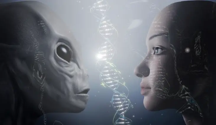 Timeline-Reality Split, Frequency Vibration, and the Hidden Forces of Life - Hyperdimensional DNA
