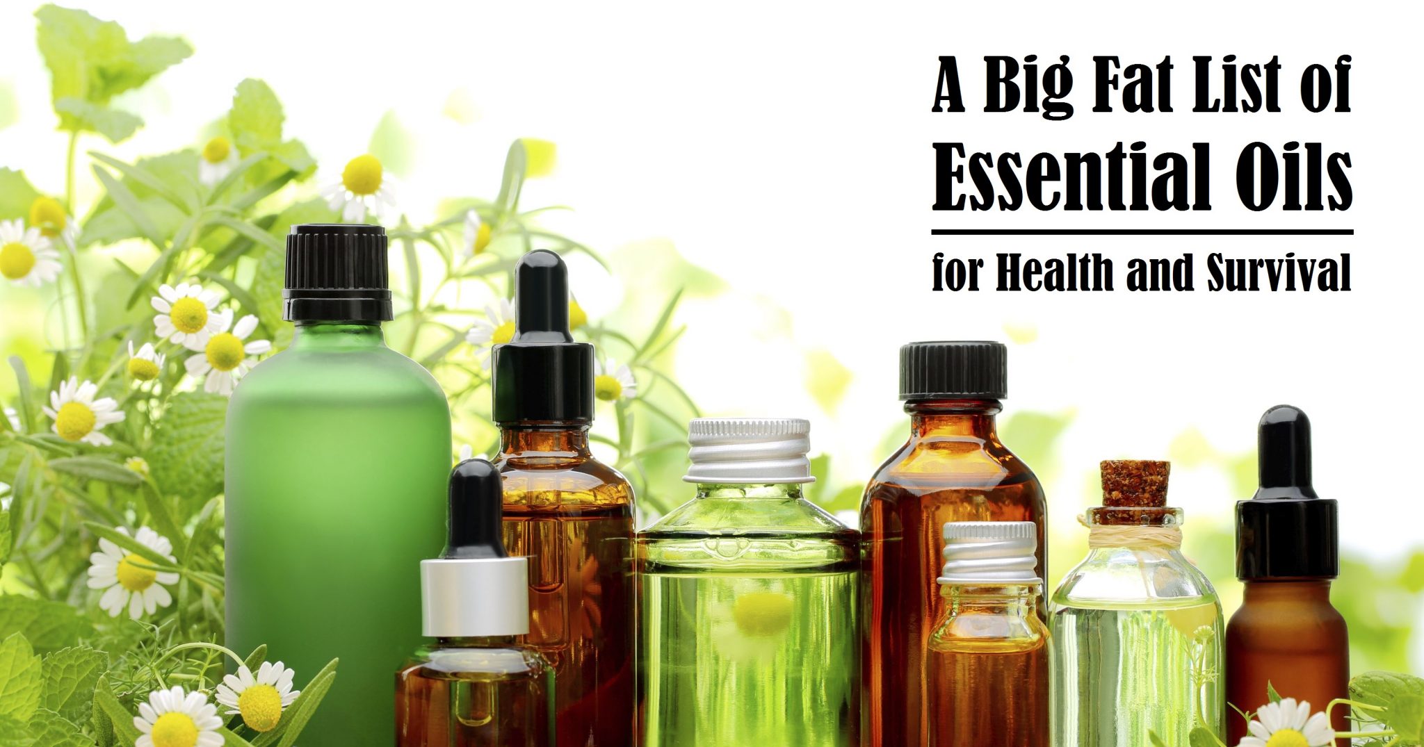 clean-your-toilets-naturally-with-diy-toilet-bombs-essential-oils