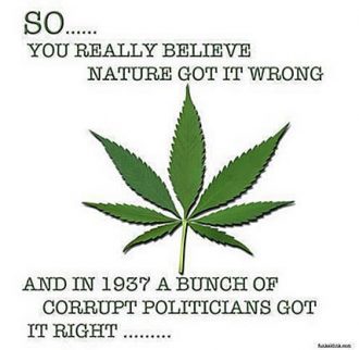 marijuana_got_it_wrong