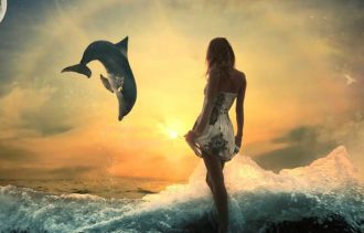 star-seed-dolfin