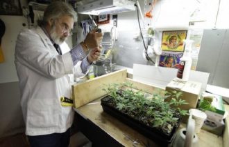 debunked-myths-marijuana-8-scientific-study