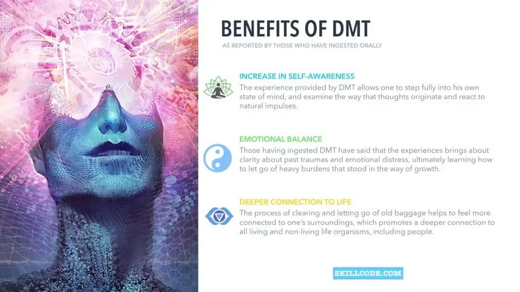 pineal-gland-science-dmt-fluoride-and-activation-benefits-of-dmt