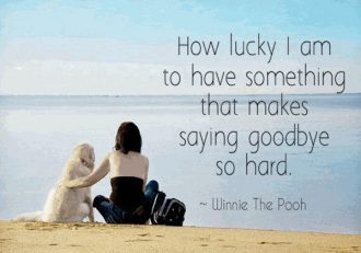 Help for Grieving the Loss of a Pet