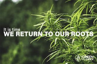 15-mind-blowing-ways-hemp-can-save-the-world-fb1