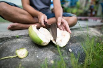 coconut-the-earths-most-widespread-medicinal-fruit-plant