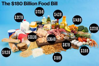 university-student-develops-phone-app-to-feed-nearly-600000-homeless-people-a-year-with-food-that-otherwise-would-be-wasted