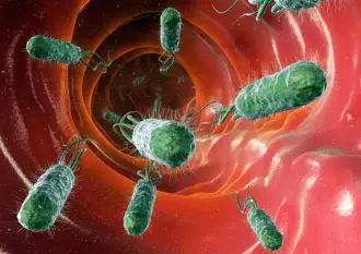 Are Harmful Gut Organisms Negatively Impacting Your Health