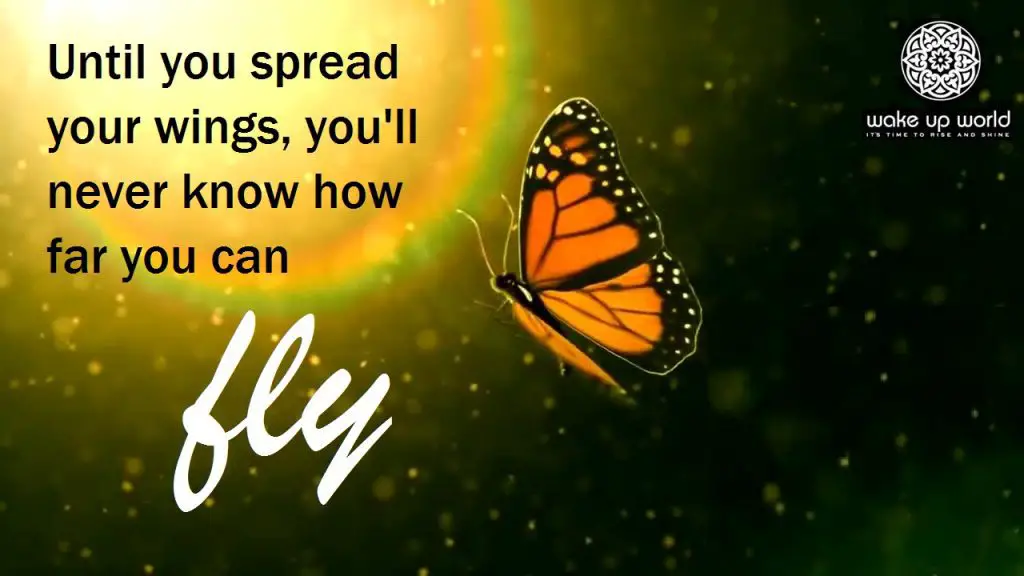 Spread Your Wings - 8 Benefits of Living Outside Your Comfort Zone
